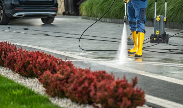 Best Soft Washing for Delicate Surfaces in Chino Valley, AZ